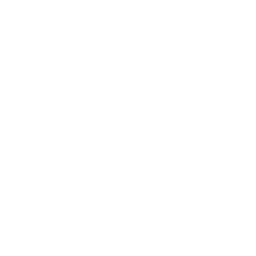 Nano-Dachbeschichtung