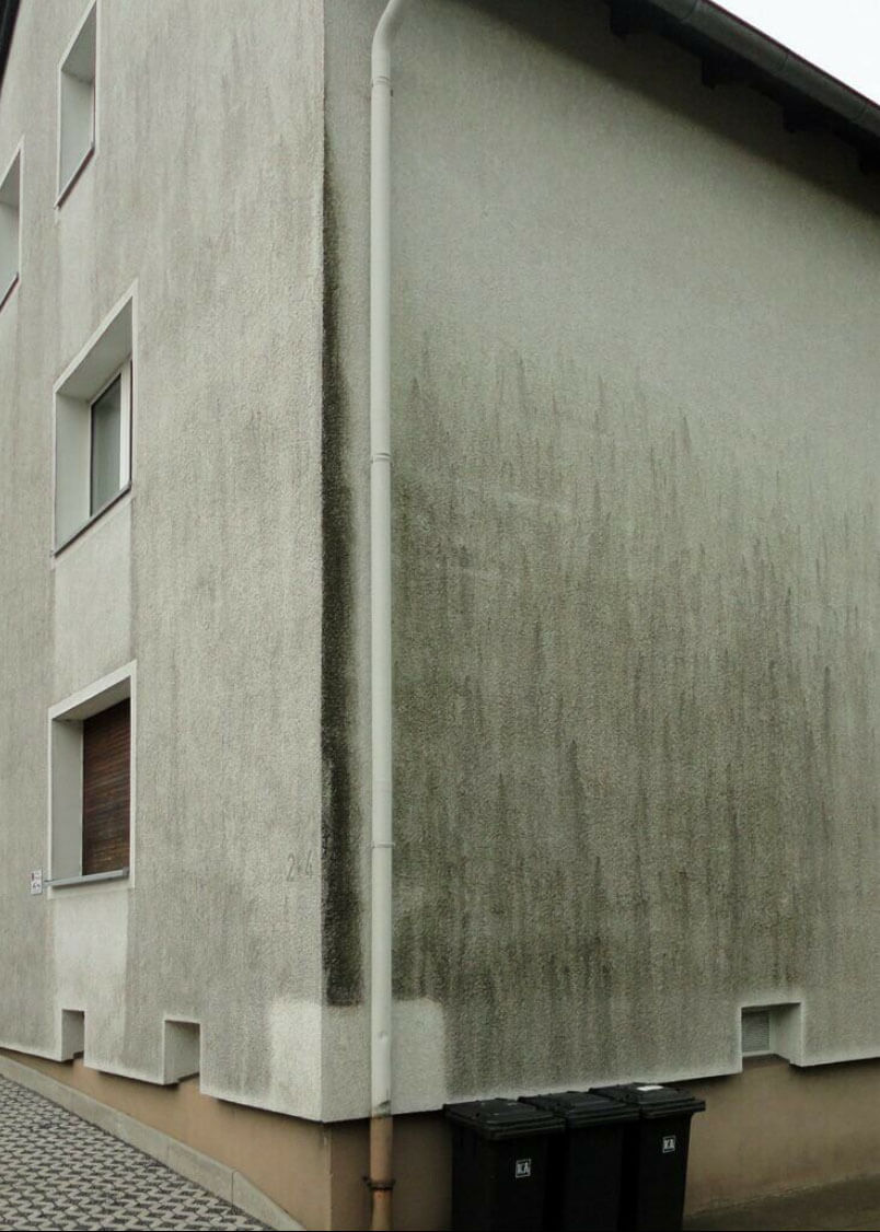Fassadenreiniung